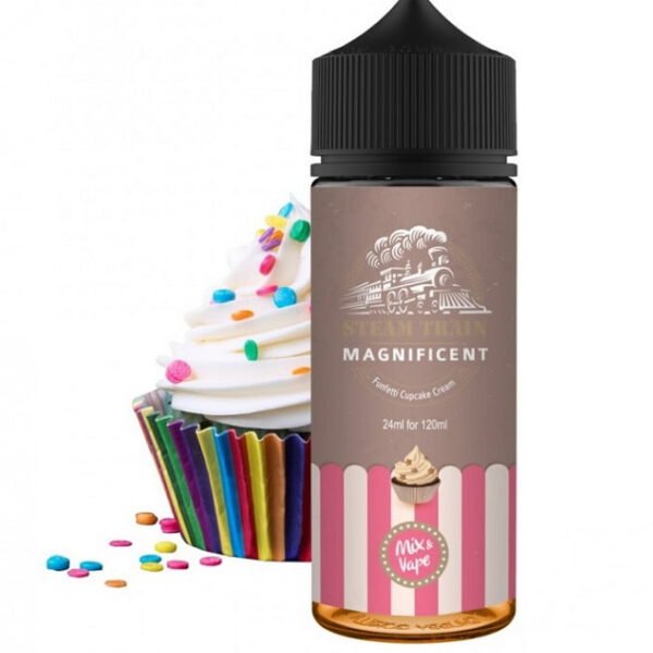 STEAM TRAIN Magnificent 24/120ml